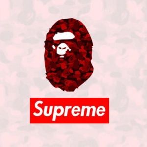 Meet your Posher, Zeid